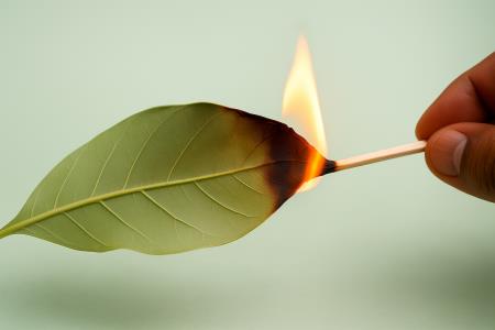 Kako se na preprost način pomiriti, odpreti dihalne poti in zadihati s polnimi pljuči?