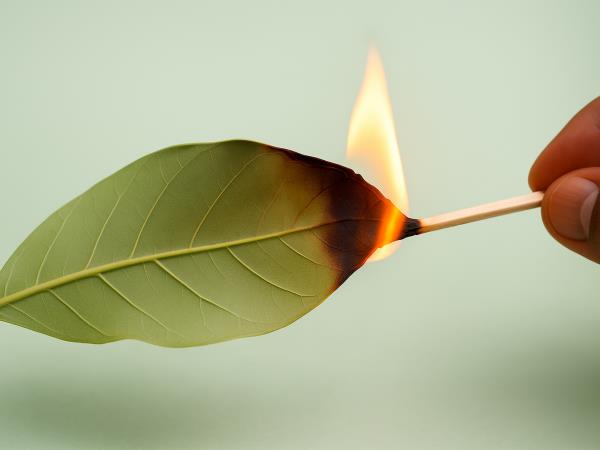 Kako se na preprost način pomiriti, odpreti dihalne poti in zadihati s polnimi pljuči?