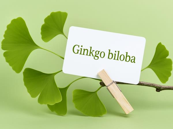 Drevo, ki že tisočletja raste med nami, a ga še vedno ne razumemo