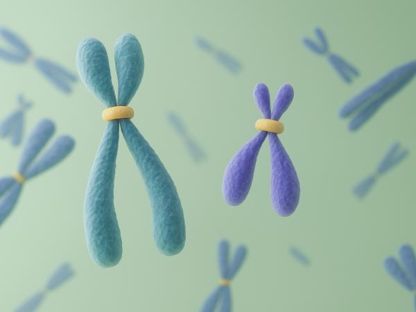 Krvni rak, ki smo ga premagali tudi v Sloveniji