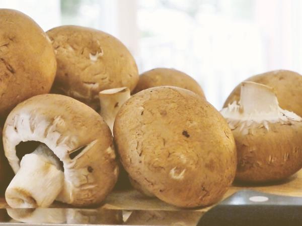 Za tretjino manj grip in prehladov ter zdravilo proti najhujšim boleznim