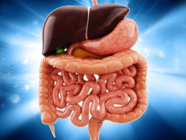 Kdaj ste bili nazadnje na razstrupljevalni dieti?