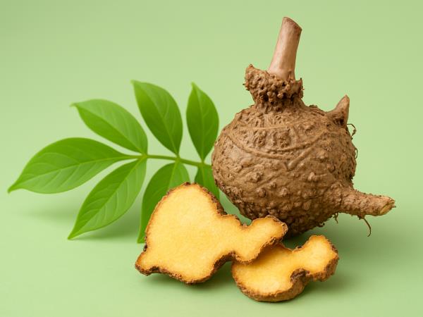 Glukomananu pravijo tudi črevesna metla. Zakaj?