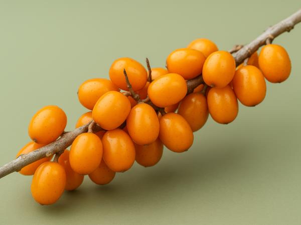 Kako dobro poznate omega 7?