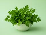 Zakaj ni dobro pretiravati s peteršiljem