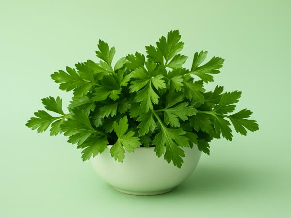 Zakaj ni dobro pretiravati s peteršiljem