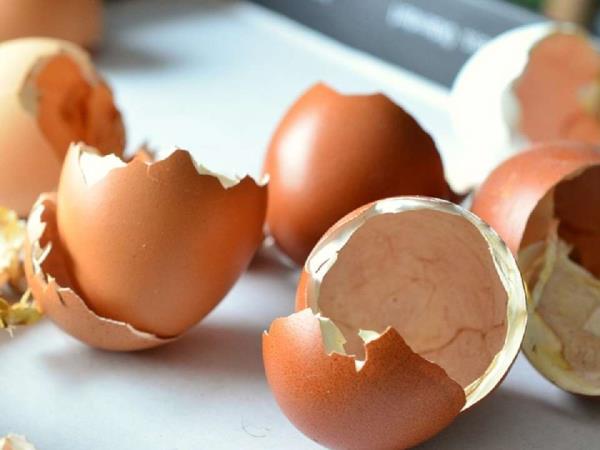 Ena sestavina, ki jo nutricionisti priporočajo za ščitnico, srce, kri in kosti