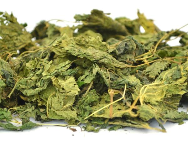 Sok iz kopriv - zakaj?