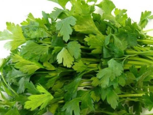 800 let staro božje zdravilo