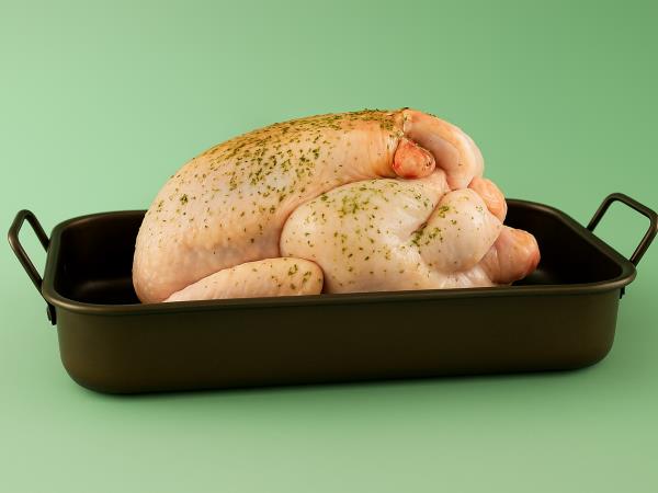 Grozna resnica o piščancih