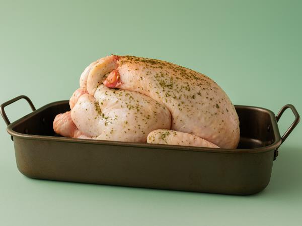 Grozna resnica o piščancih