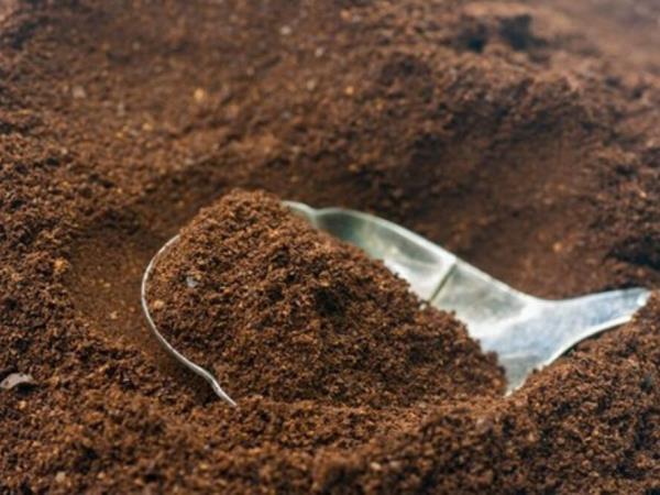 Hujšanje s kavo deluje samo, če ne delate tega