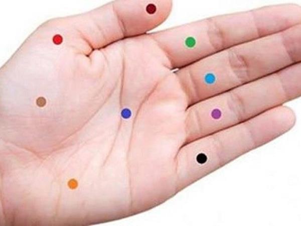 Skrivnost harmonije duše in srca