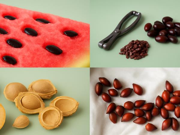 Katere koščice so koristne za telo