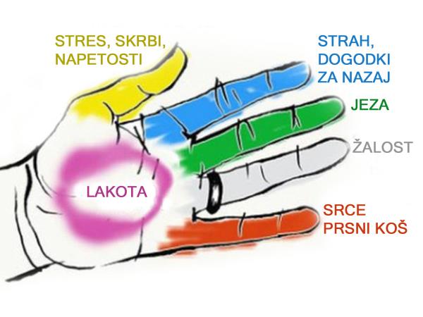 Kako obvladovati bolečine, čustva in lakoto?