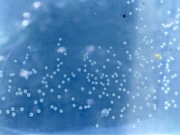 Klorirana voda - tih sovražnik, ki lahko poveča tveganje za raka?