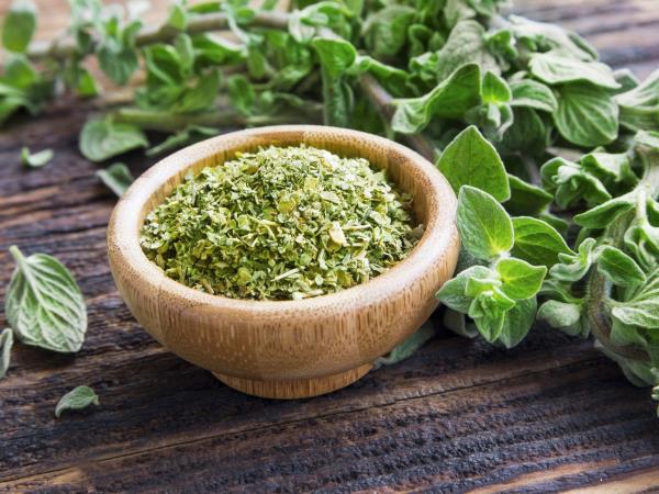 Skrivnost mediteranske kuhinje: zakaj je origano več kot le začimba