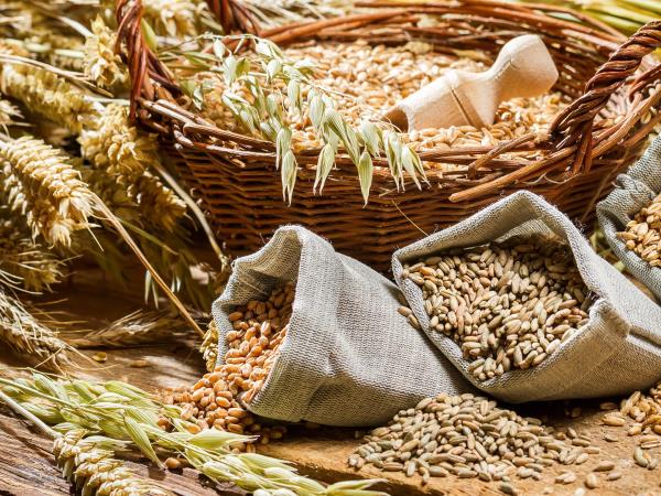 Kako nam polnozrnata žita pomagajo pri hujšanju?