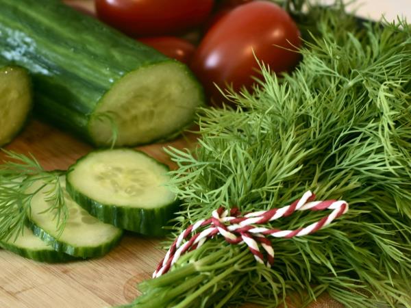 Kako koprc pomaga pri prebavnih težavah?