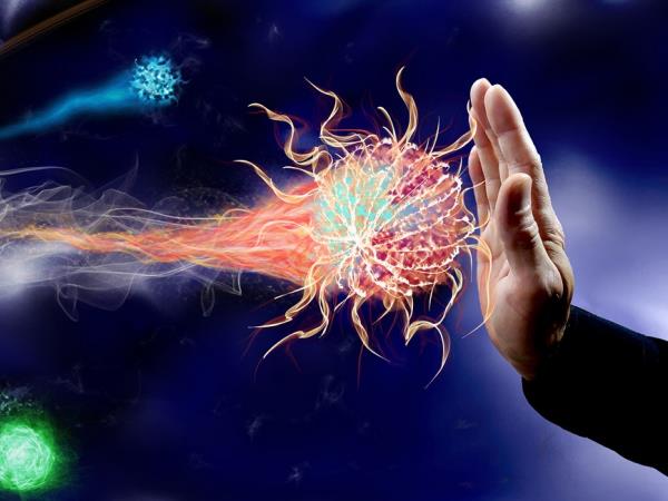 Preveč vitamina B9 oslabi imunski sistem?