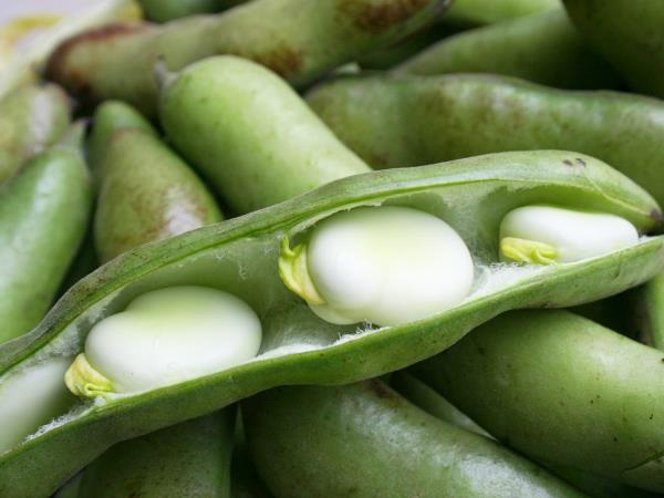 Kako stročnice pomagajo v boju z odvečnimi kilogrami