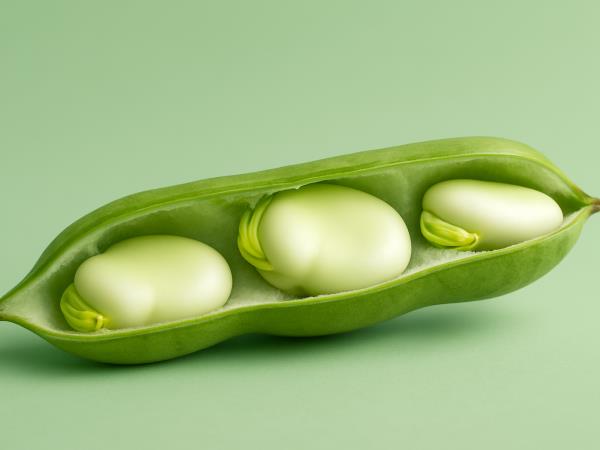 Kako stročnice pomagajo v boju z odvečnimi kilogrami