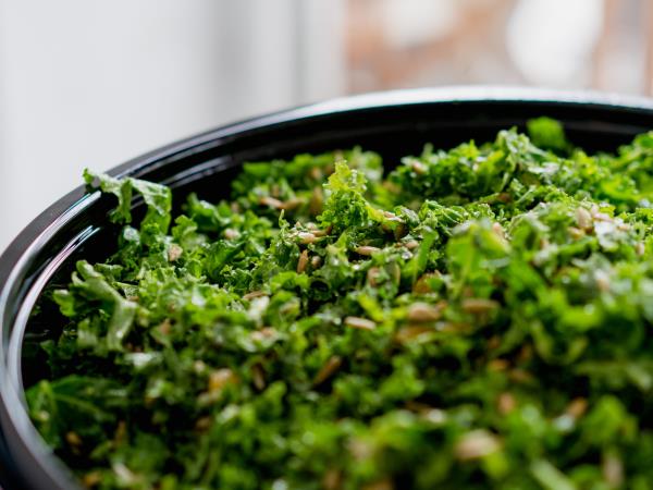 Zaklad narave skrit v ohrovtu