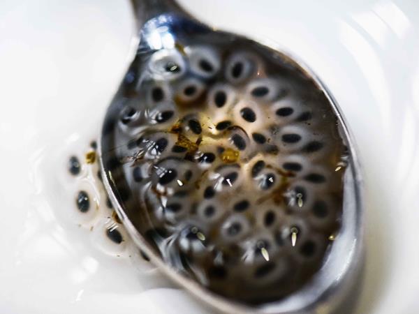 So semena bazilike novo superživilo?