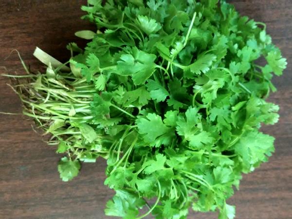 Zdravilne lastnosti semen koriandra