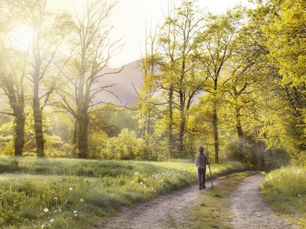 Zakaj je jutranji sprehod najboljša stvar, ki jo lahko naredite zase?