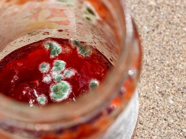 Marmelada ali ajvar potem, ko smo odstranili plesen