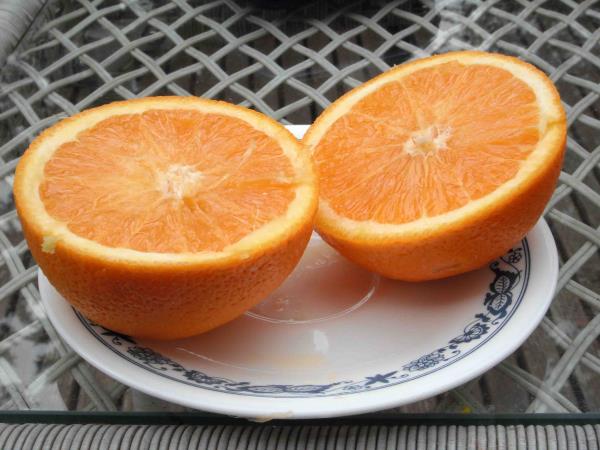 Pomarančna vsak dan