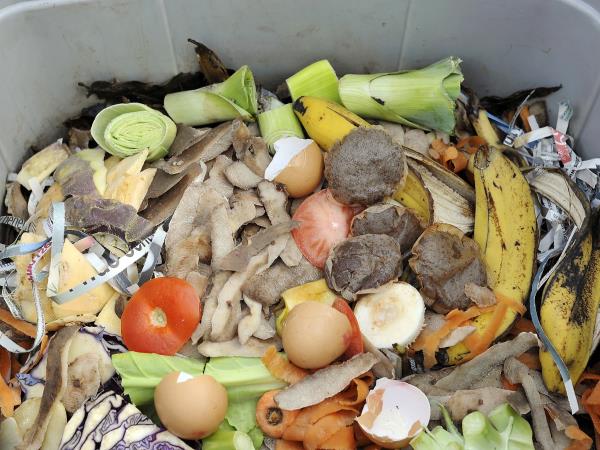 Lupine in listi, ki jih mečete stran: prav v njih se skriva največ vitaminov