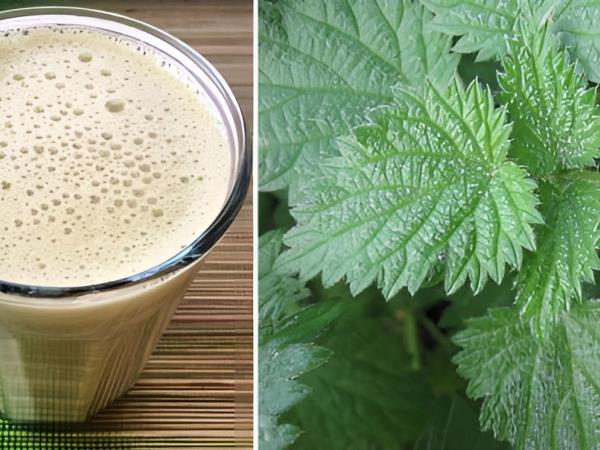 Mandljevo mleko s koprivami