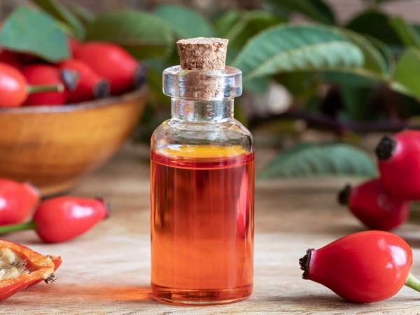 Dobre plati šipkovega olja