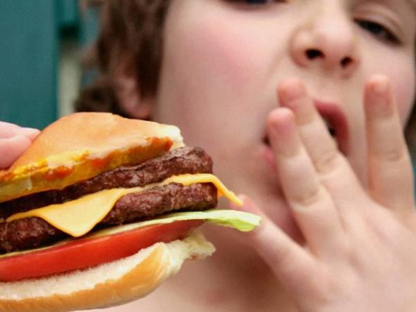 Zakaj moramo jesti več maščob