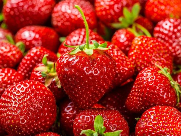 Jagodna nostalgija iz otroštva