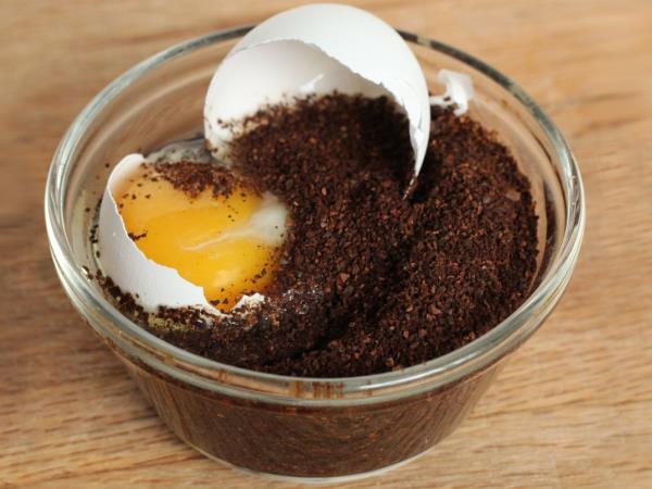 Kava s surovim jajcem