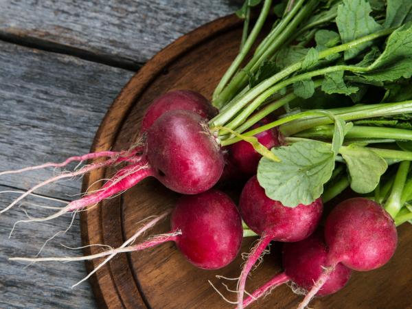 Redkvica: vitaminska bomba in kraljica zdravja