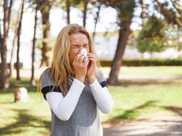 Globalno segrevanje povečuje proizvodnjo cvetnega prahu