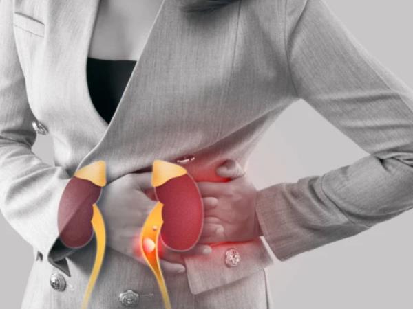 Ledvice obožujejo kalcij