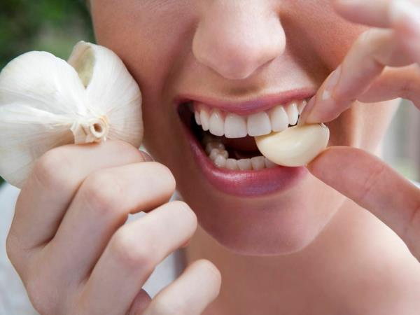 Zakaj pridelovati svoj česen in se izogibali kitajskemu?