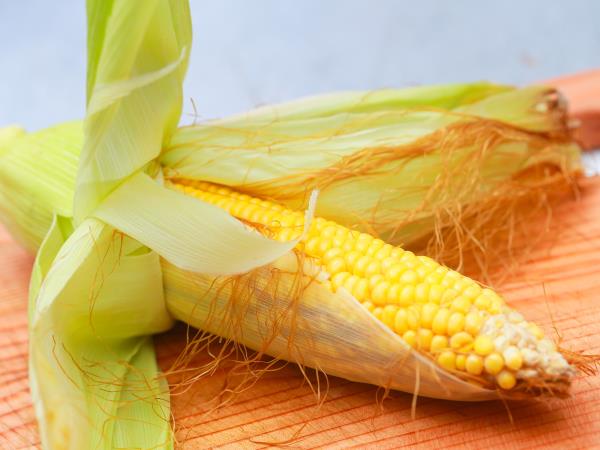 Kako dobro poznate zdravilne učinke zlatih nitk narave