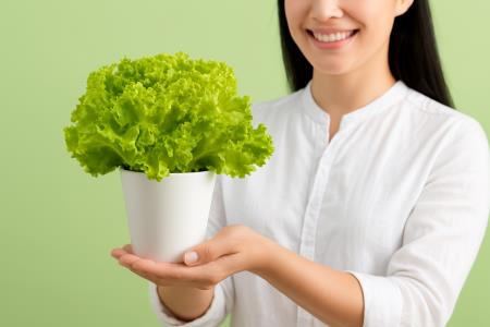 Kdaj je zelena solata lahko problematična