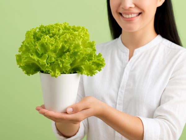 Kdaj je zelena solata lahko problematična